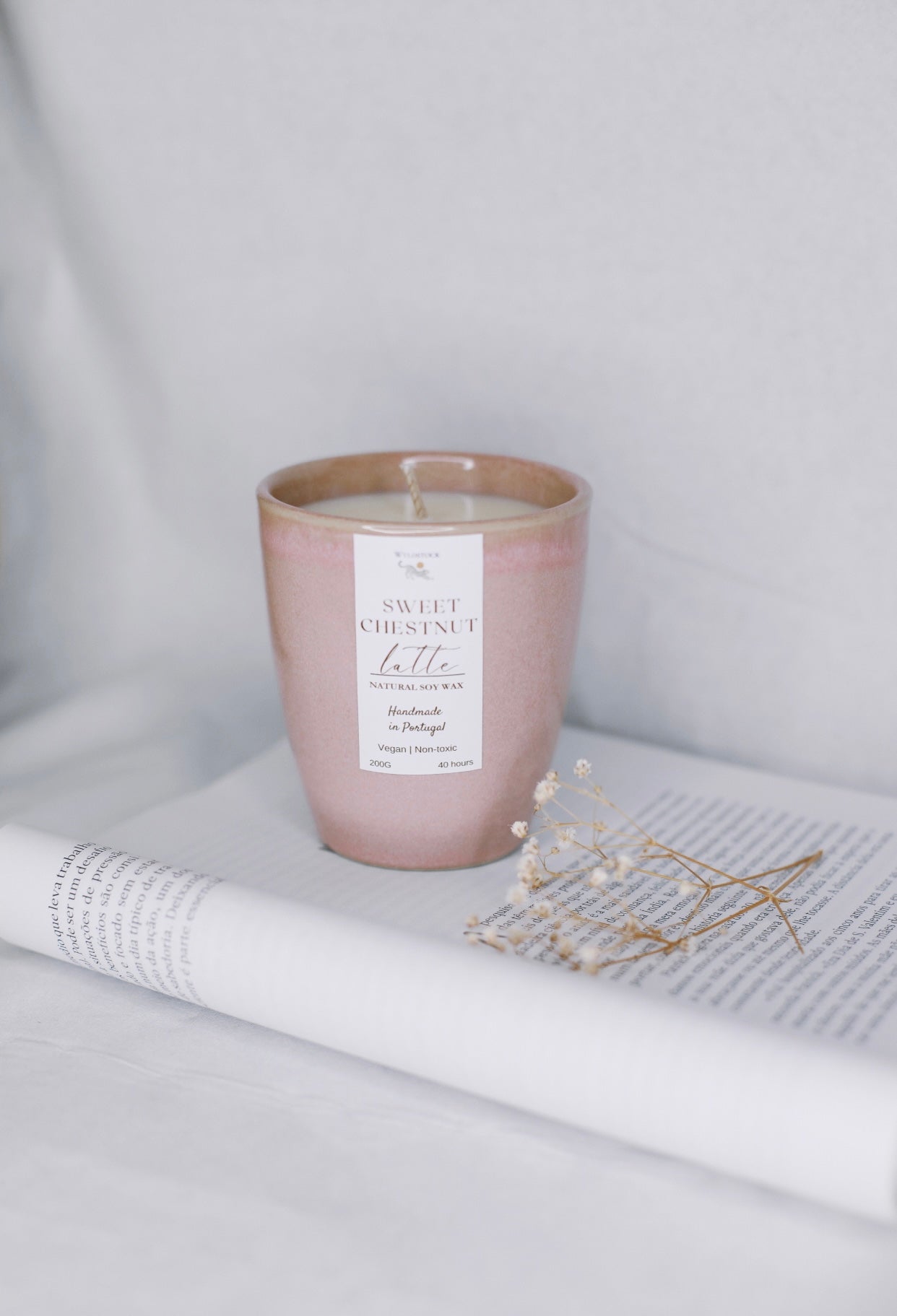 🩷 Sweet Chestnut Latte